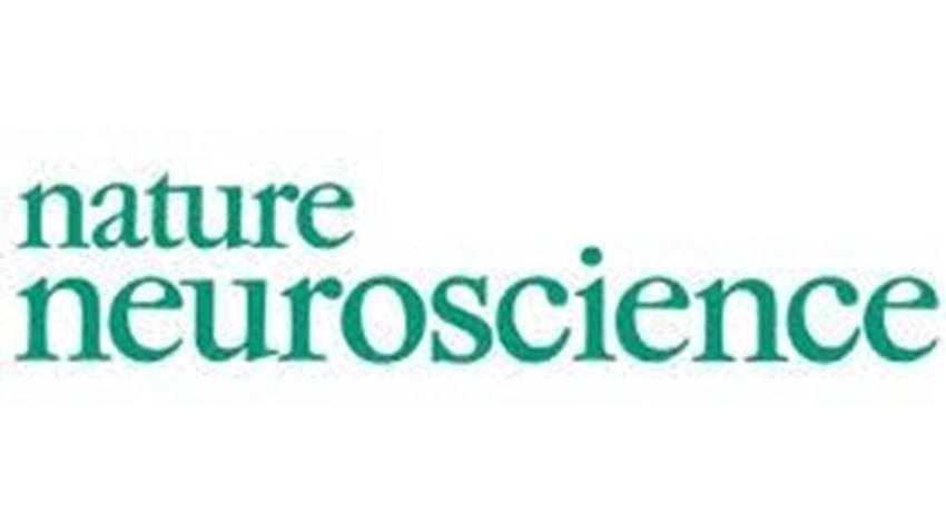 Artigo publicado na revista “Nature Neuroscience”