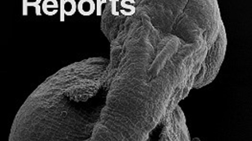 “Cell Reports” apresenta resultados de projeto apoiado pela Fundação BIAL