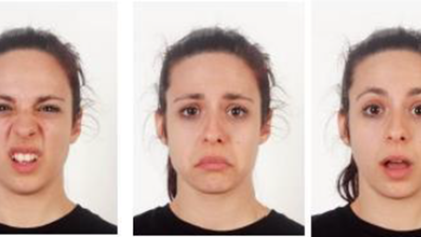 Investigadores apoiados pela Fundação BIAL conduzem projeto para identificar como expressões faciais são entendidas pelo cérebro